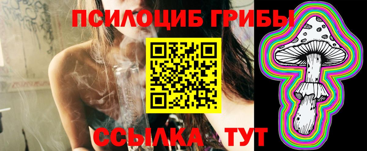 Советская Гавань  Галлюциногенные грибы Magic Shrooms  купить  сайты  Вход с VPN 