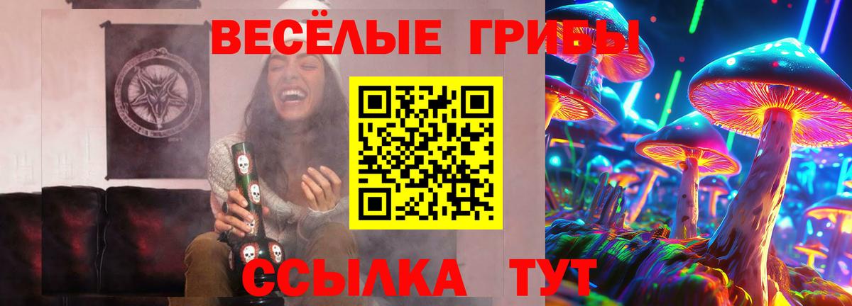 Псилоцибиновые грибы мицелий Советская Гавань